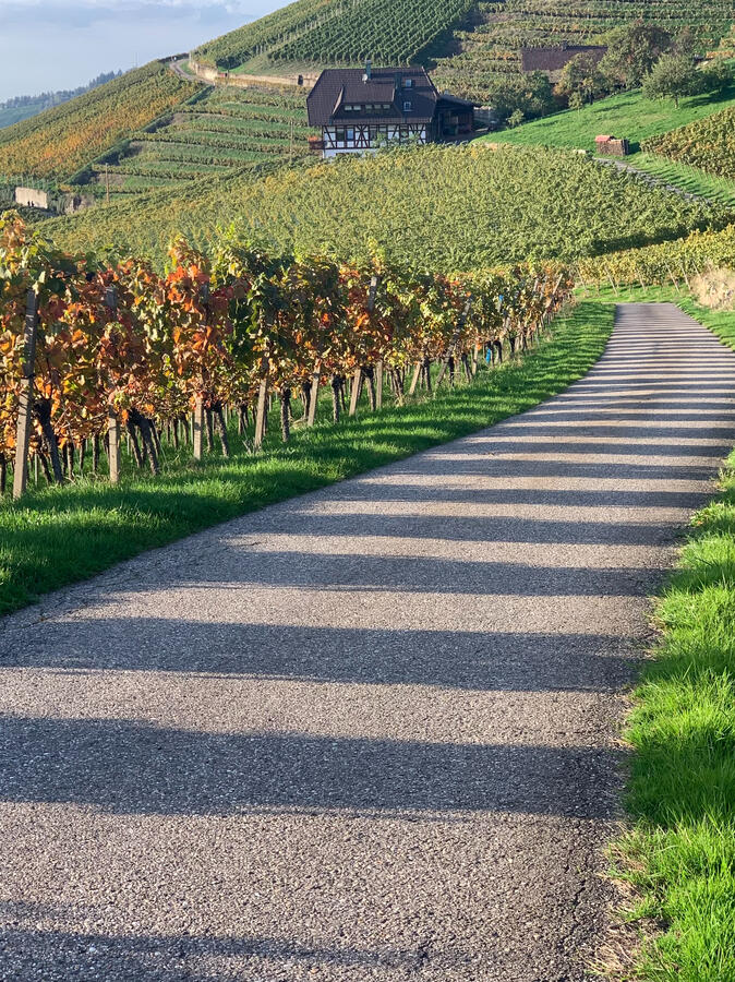 Wanderwege in der Nähe Wanderwege in der Nähe